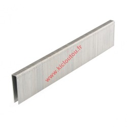 Silverline 282514 Agrafes type A - 22mm Galva - Boite de 5000