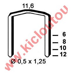 Agrafes STCR5019 - 12 mm