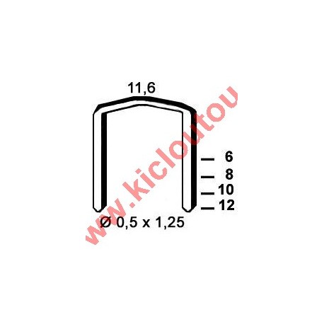 Agrafes STCR5019 - 12 mm