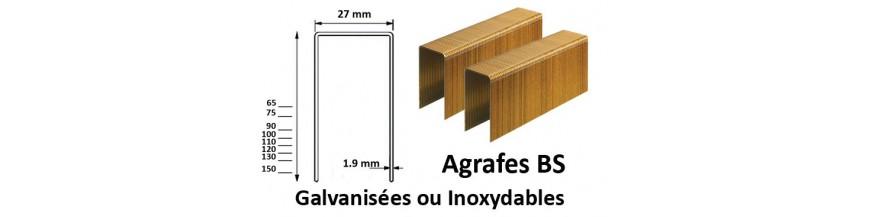 Agrafes BS compatible haubold BS29000 et Alsafix WP