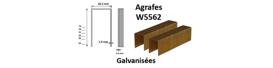 Agrafes W5562