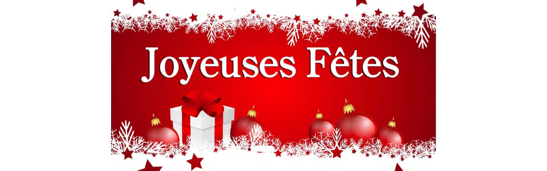 Nous vous souhaitons de joyeuses fêtes de fin d'année.